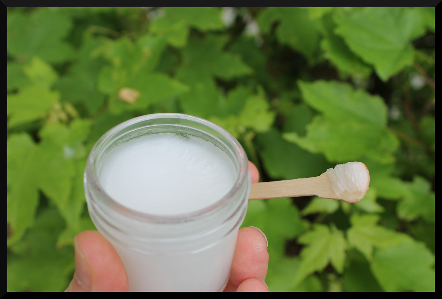 BYXCO "Pine-Ultimate" Polymer Wax Polish -- 2 oz Jar